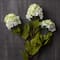 Snowball Spray Floral Essentials by Ashland®